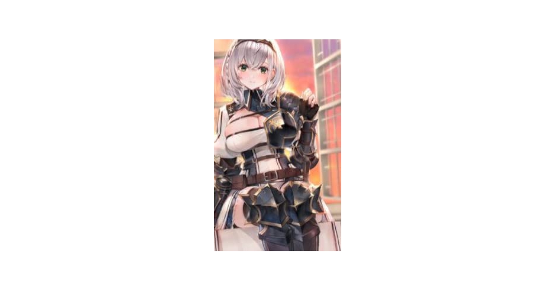 Amazon.co.jp: (秋コミ_タペストリー)白銀ノエル ホロケットB2